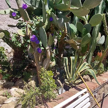 וילה Il Palazzo Di Annare פרוסידה